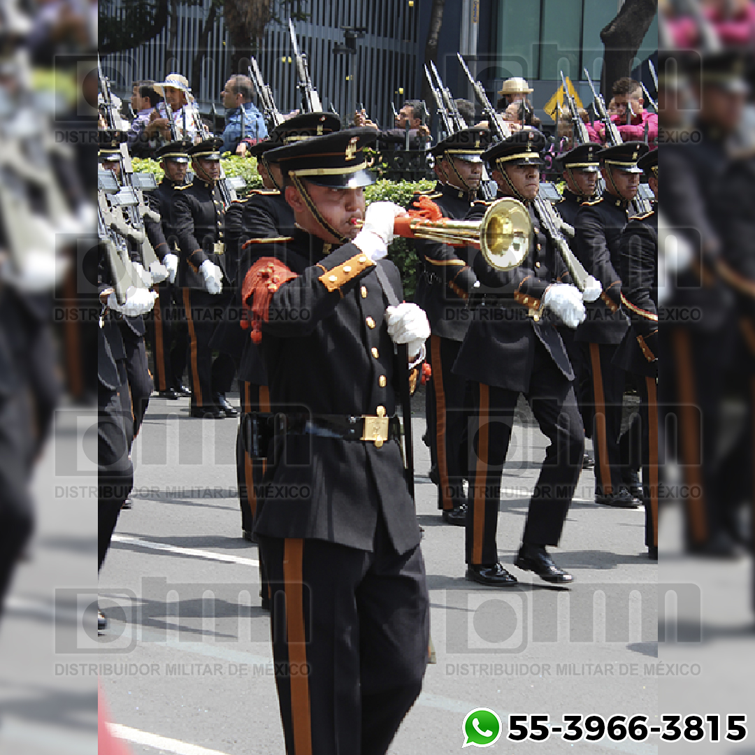 C_G_A_T_003