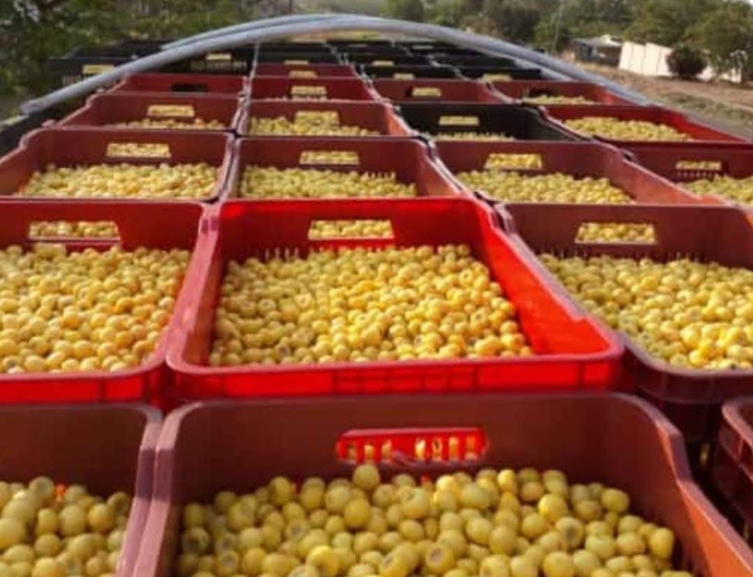 Imagen de WhatsApp 2024-05-24 a las 13.46.51_d370ecbd