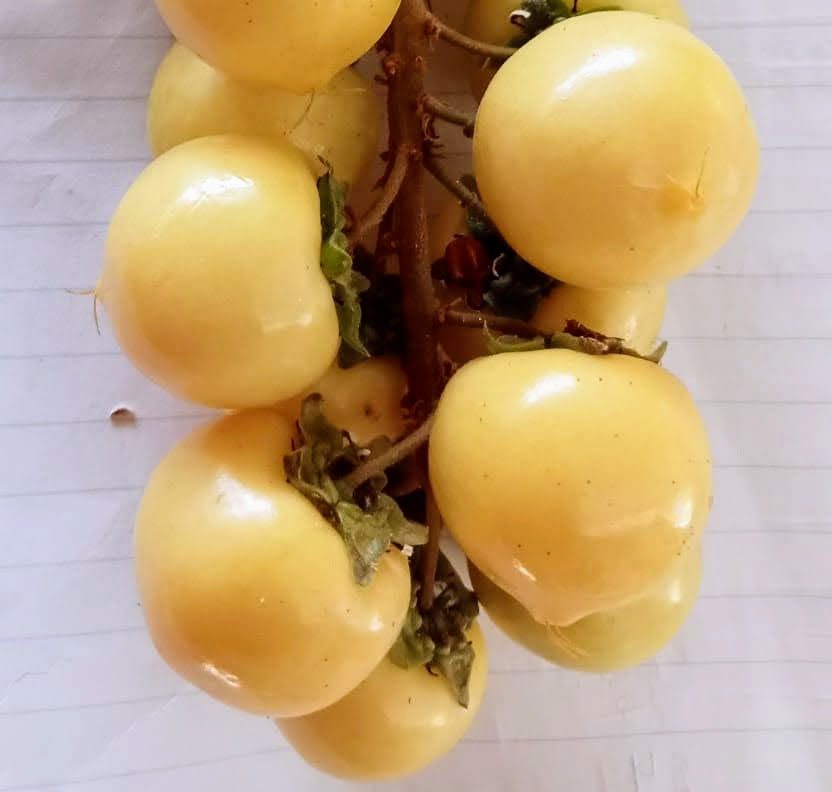 Imagen de WhatsApp 2024-05-24 a las 13.51.44_3af3fb70